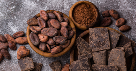 Unveiling the Benefits of Theobromine: The Sweet Secret Within Chocolate