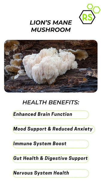 The Health Benefits of Lion's Mane Mushroom